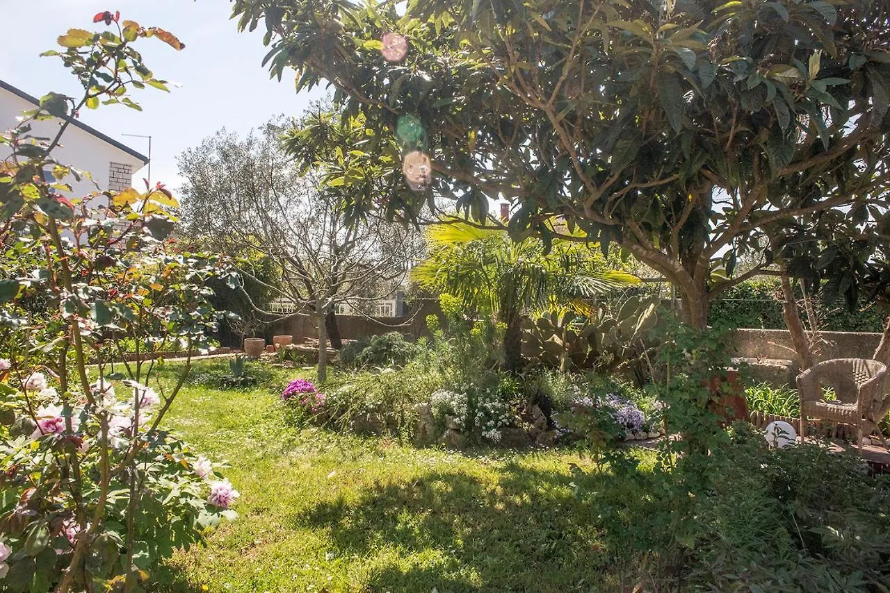 Apartment Lori Fazana Croatia